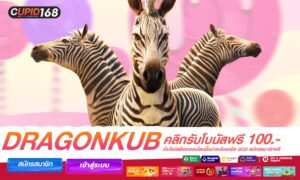 Dragonkub